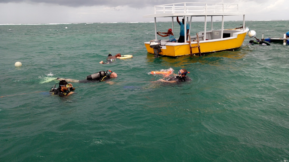 Snorkeling in Mombasa