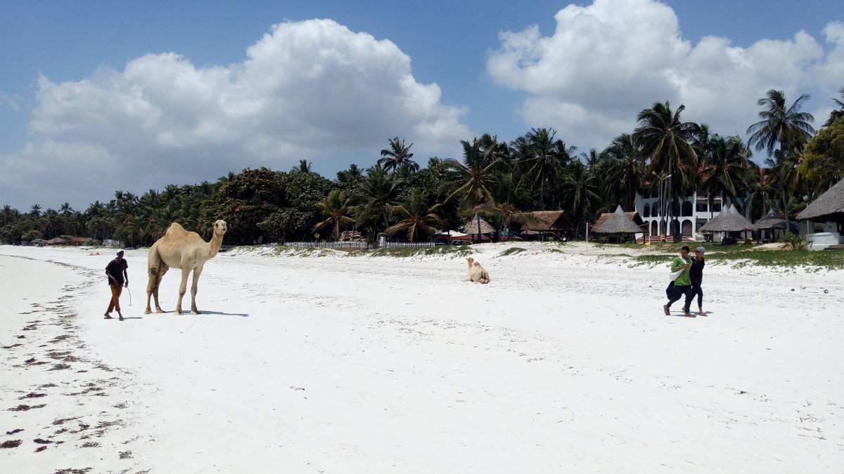 Nyali Beach