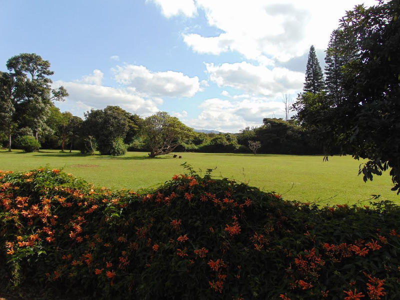 Gardens at the Karen Blixen Museum