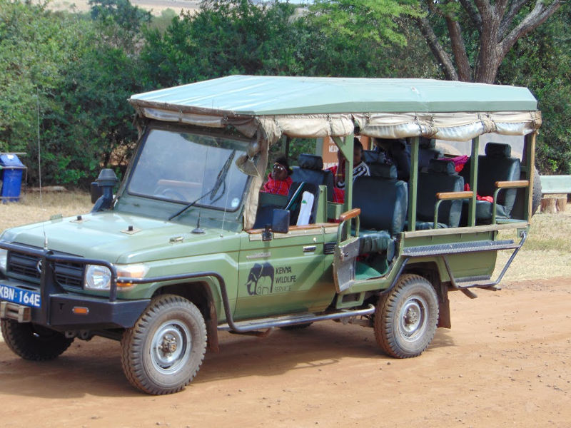 Game drive vehicle