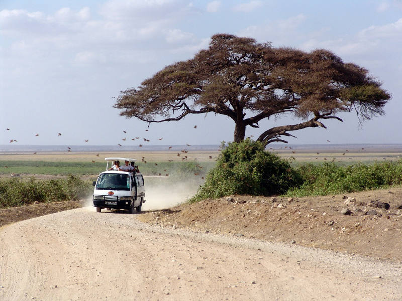 On Safari in Kenya