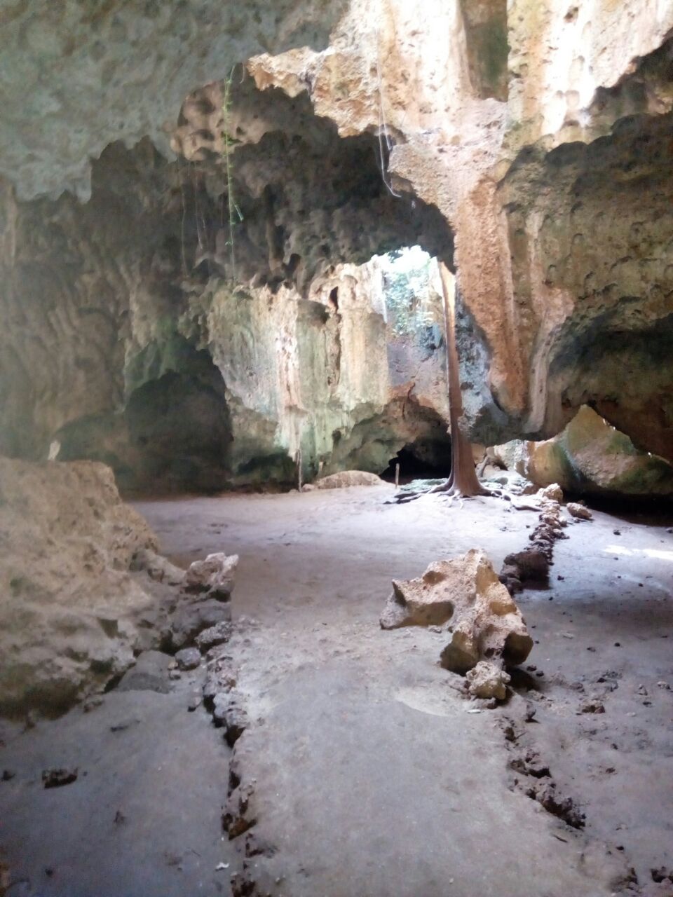 The Caves of Hell... Shimoni Caves.
